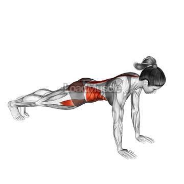 Front Plank Side Hop