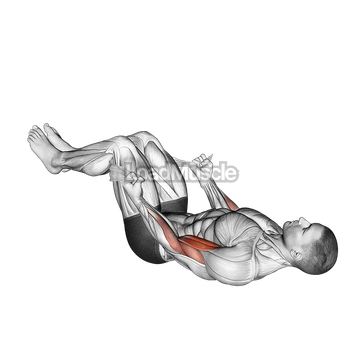 Lying Double Legs Biceps Curl with Towel
