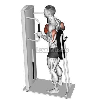 Lever Standing Chest Press
