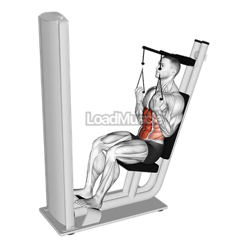 Lever Seated Crunch