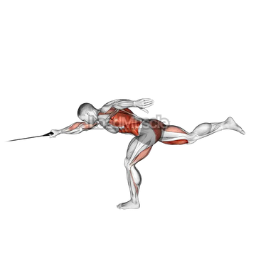 Band Single Stiff Leg Deadlift with Single Arm Row