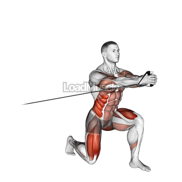 Band Split Squat with Horizontal Pallof Hold
