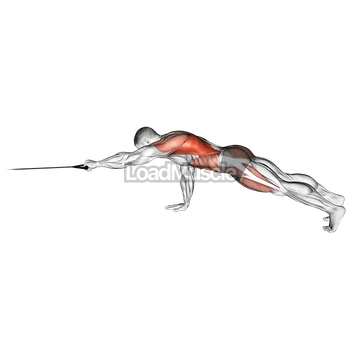 Band Front Plank with Single Arm Pulldown