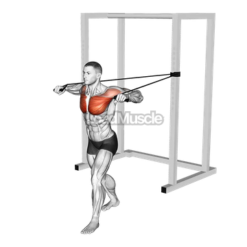 Band Standing Chest Press