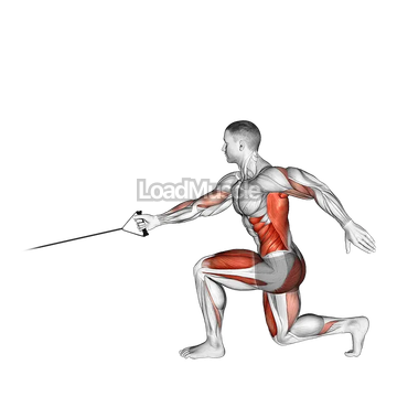 Band Jump Lunge with Single Arm Row