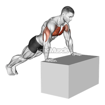 Incline Push-Up (on box)