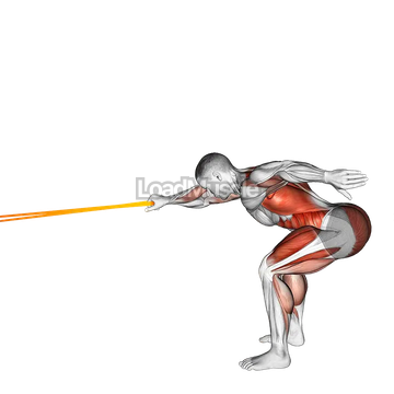 Resistance Band Deadlift with Single Arm Row