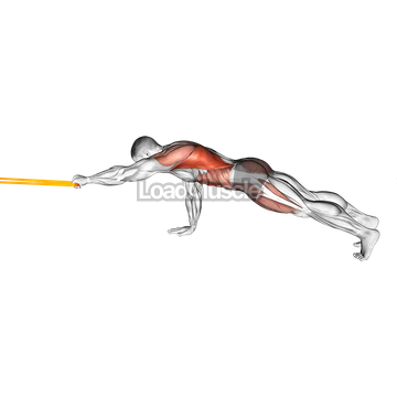 Resistance Band Front Plank with Single Arm Pulldown