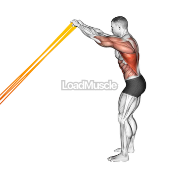 Resistance Band Skier