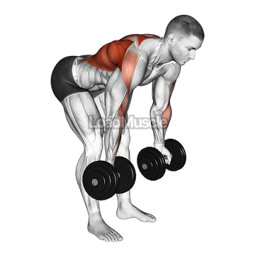 Dumbbell Bent Over Reverse Row