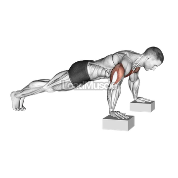 Elevated Push-Up