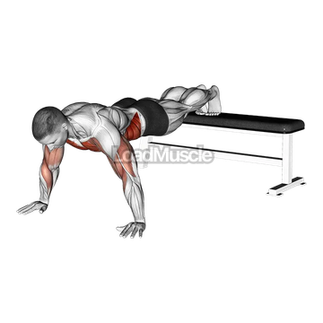 Decline Shoulder Tap