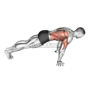 Pseudo Planche Push-up