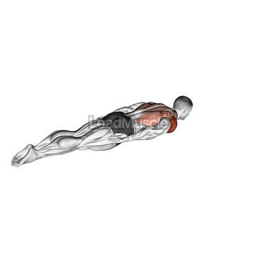 Lying Around the World