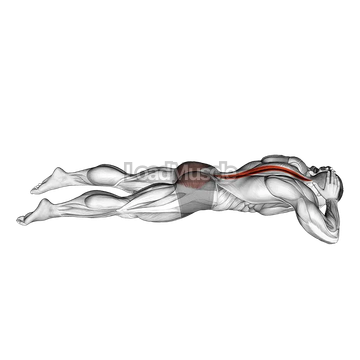 Lying Floor Hyperextension