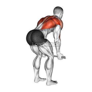 Bent over Row with Towel