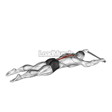 Lying Floor Hyperextension with Towel