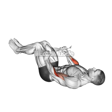 Lying Double Legs Hammer Curl with Towel
