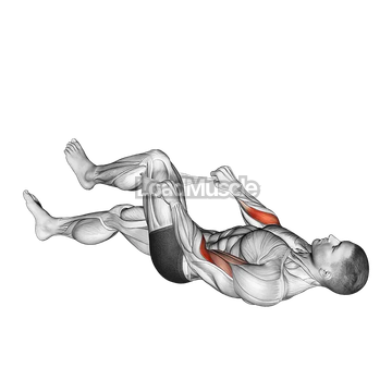 Lying Single Legs Reverse Biceps Curl with Towel