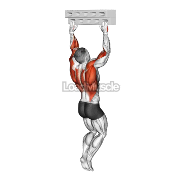 Handboard Hang with 135 Degree Elbow