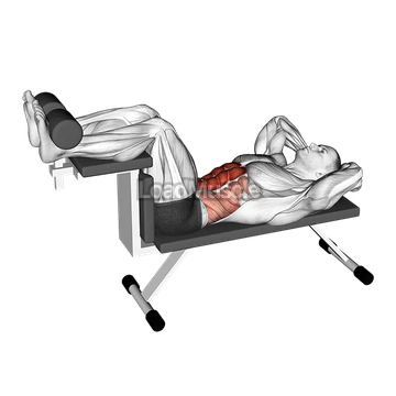 Crunch (on bench)