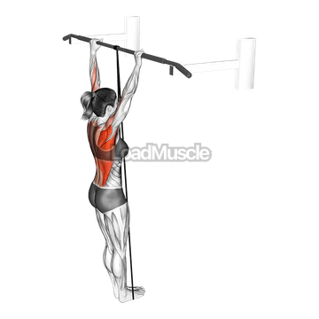 Band Assisted Pull-Up