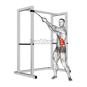 Band twist (up-down)