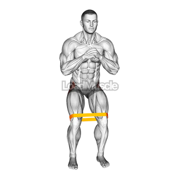 Resistance Band Standing Hip Abduction