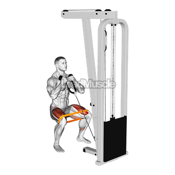 Resistance Band Cable Squat