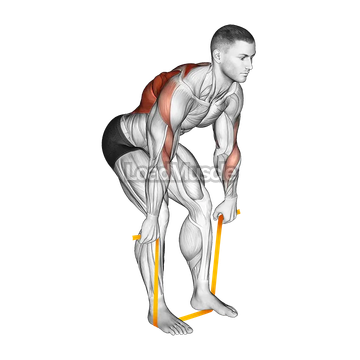 Resistance Band Bent Over Row