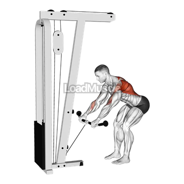 Cable Bent Over Row