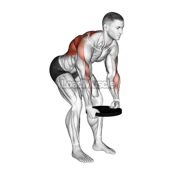 Weighted Plate Bent Over Row