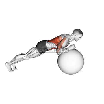 Exercise Ball Body Saw