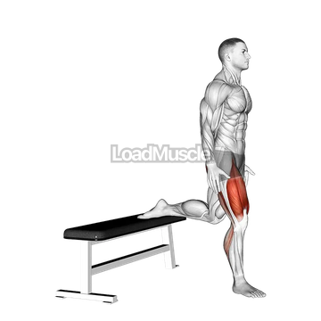 Bulgarian Jump Squat