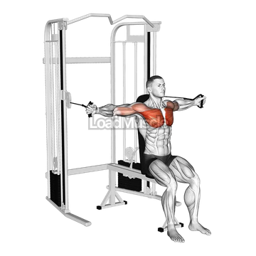 Cable Seated Chest Fly