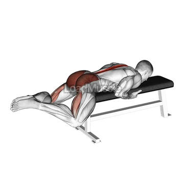 Frog Reverse Hyperextension (on a bench)