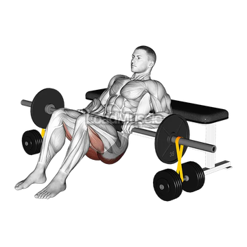 Barbell Hip Thrust with Resistance Band