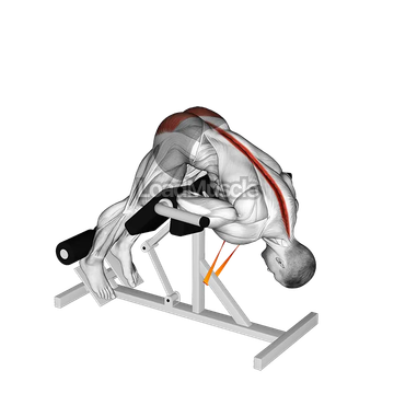 Resistance Band 45 degrees Hyperextension