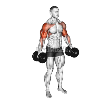 Dumbbell Poliquin Lateral Raise