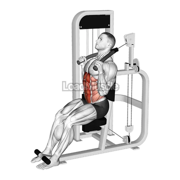 Lever Seated Full Crunch