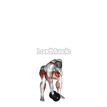 Dumbbell One Arm Snatch