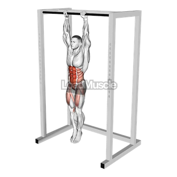 Hanging Knees to Elbows