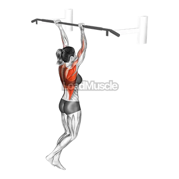 Reverse grip Pull-up