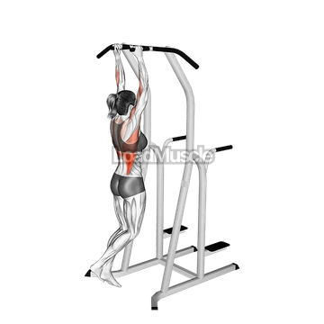 Hammer Grip Pull-up on Dip Cage