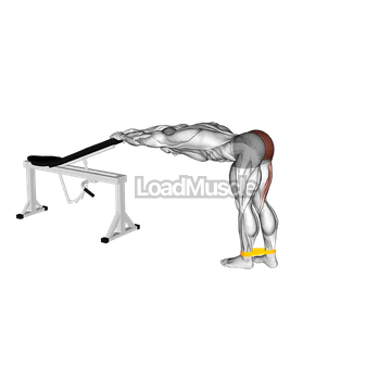 Resistance Band One Leg Kickback (Bent Position)