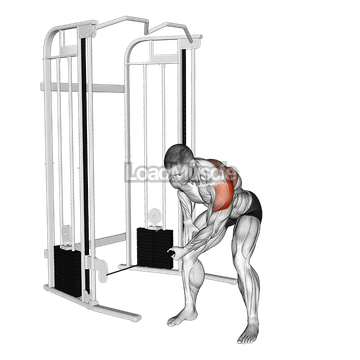 Cable Bent Over One Arm Lateral Raise