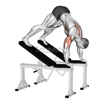 Decline Pike Press (between benches)