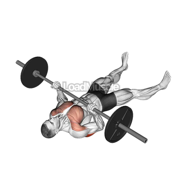 Barbell Reverse Grip Floor Press