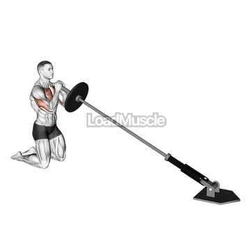 Landmine Kneeling Squeeze Press