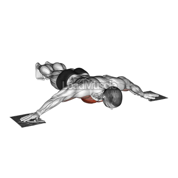 Floor Fly with Towels